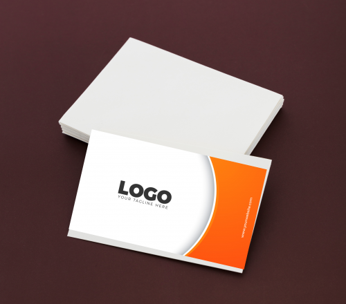 Cartão de Visita 250g 4\0 500 und